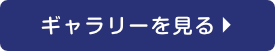 ギャラリーを見る